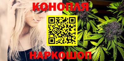 СК Будённовск