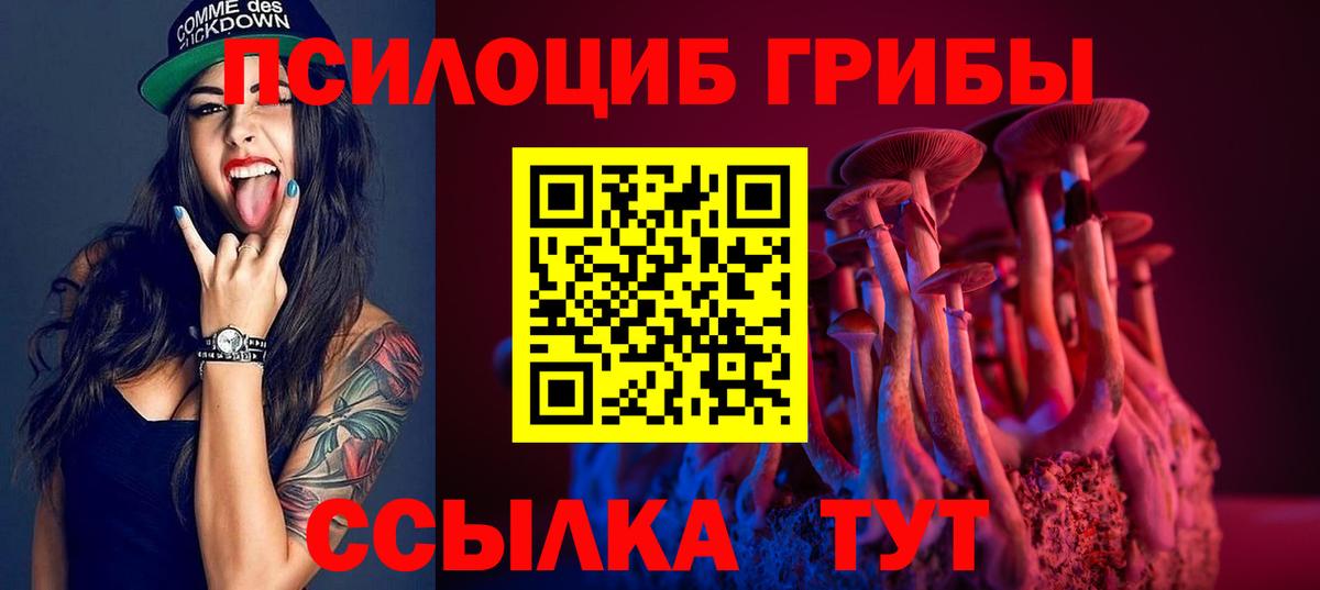Псилоцибиновые грибы MAGIC MUSHROOMS Киселёвск